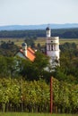 Church And Vineyards In Bogojina, Slovenia Royalty Free Stock Photo